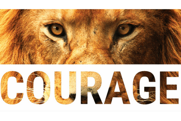 nuru academy courage