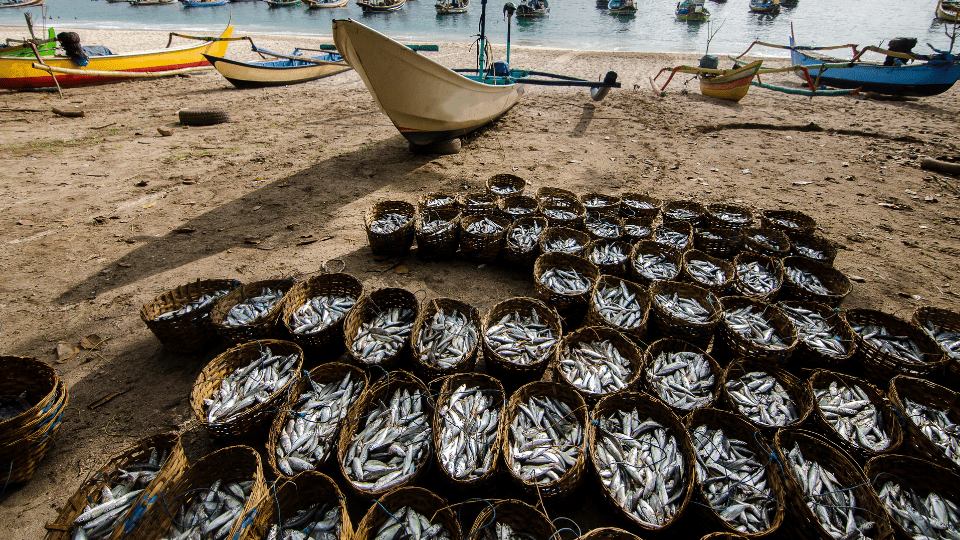 Entrepreneurship in Small-scale Fisheries as Means of Creating Long-term Jobs